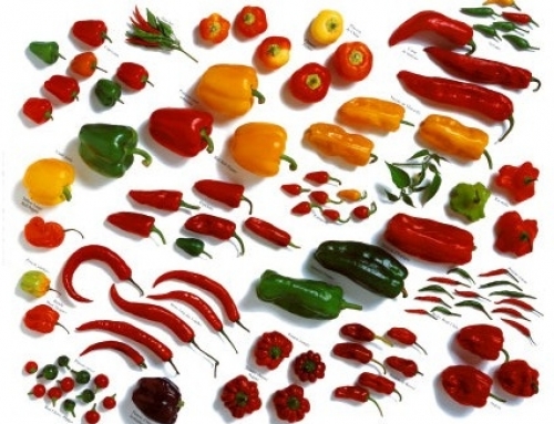 Pirospaprika és barátai